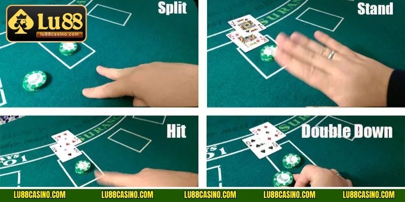 Các hành động của cược thủ khi tới lượt mình trong game